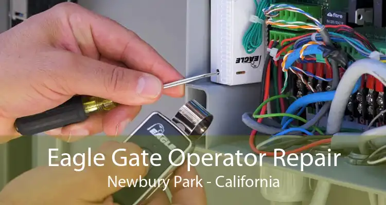 Eagle Gate Operator Repair Newbury Park - California