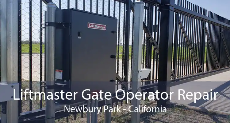 Liftmaster Gate Operator Repair Newbury Park - California