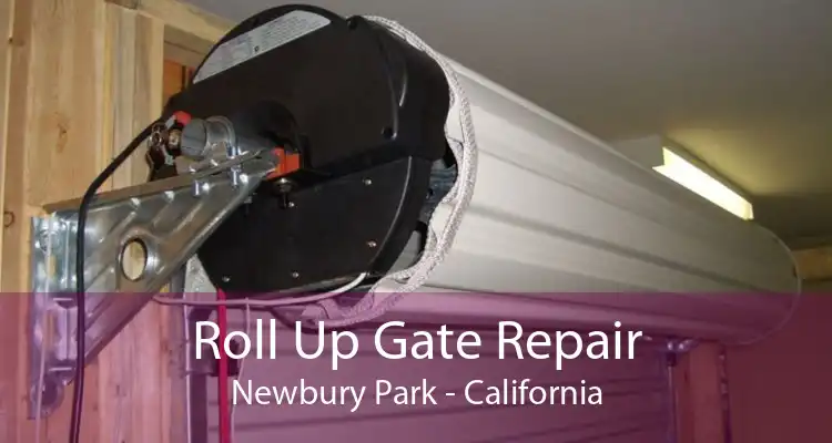 Roll Up Gate Repair Newbury Park - California